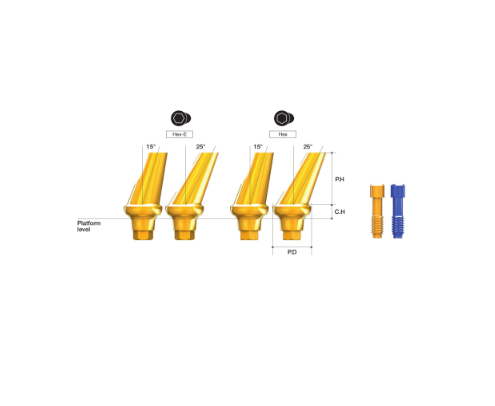 Angled Abutment [AR]