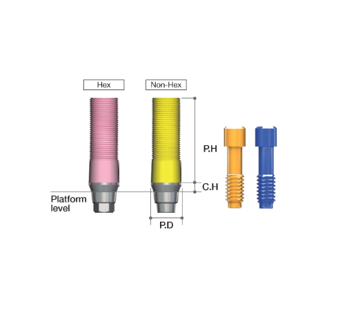 CCM Abutment [AR]