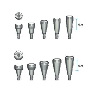 Healing Abutment [MN]