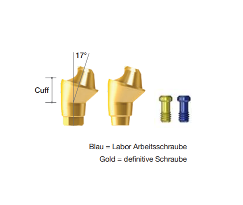 Multi-Unit Abutment [AR] - 17